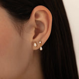 Celeste Earrings